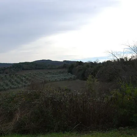 San Vettore * Gambassi Terme